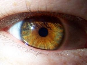 the-most-rare-eye-color_4
